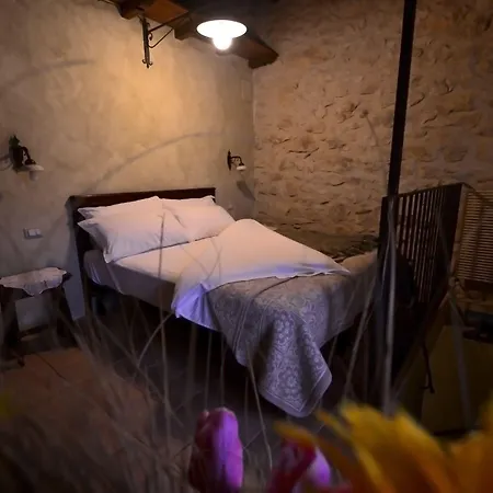 Robur Marsorum Diffuso Rocca di Mezzo