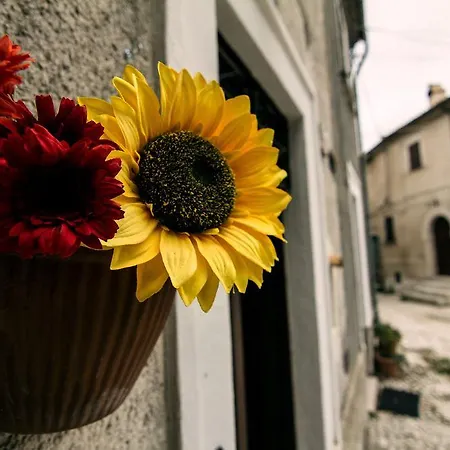 Robur Marsorum Diffuso 4*