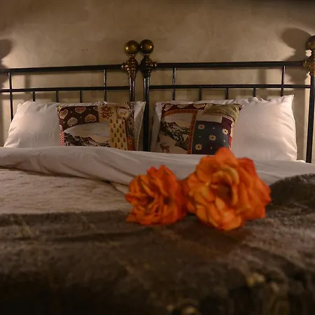 Robur Marsorum Diffuso 4*